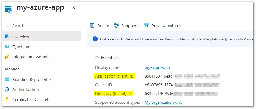 Application (client) ID and Directory (tenant) ID of your new app registration\n