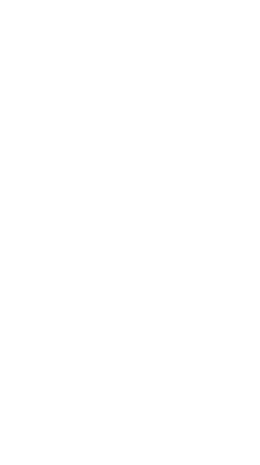 Confetti snowfall animation in a Flutter app